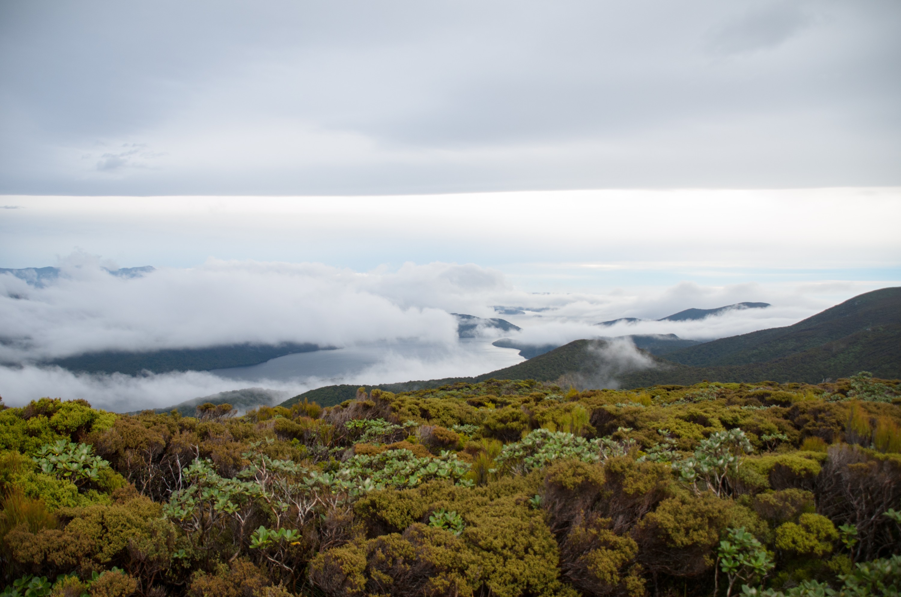 DSC_2768 – Adventure, Crispin, Island, March 2017, National Park, New, New Zealand, Rakiura, South, Stewart, Zealand